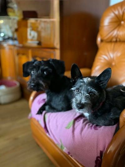 Photo de Ness et Foxy